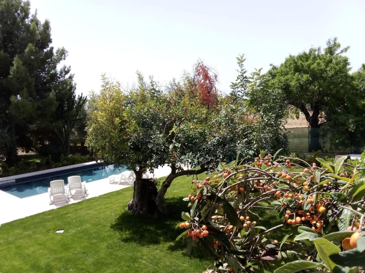 Zacchitella Garden House Villa Rosolini Bagian luar foto
